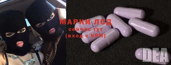 сатива Куйбышев
