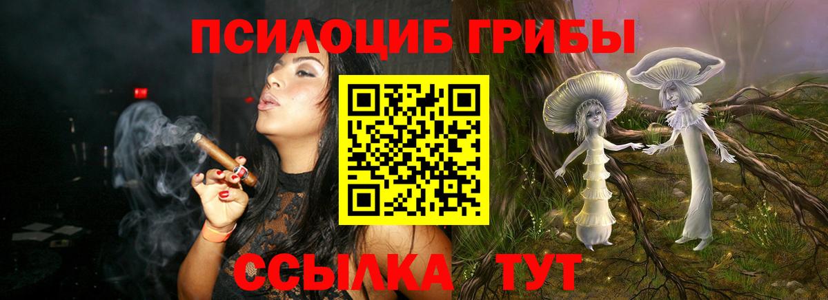 Псилоцибиновые грибы Magic Shrooms Морозовск