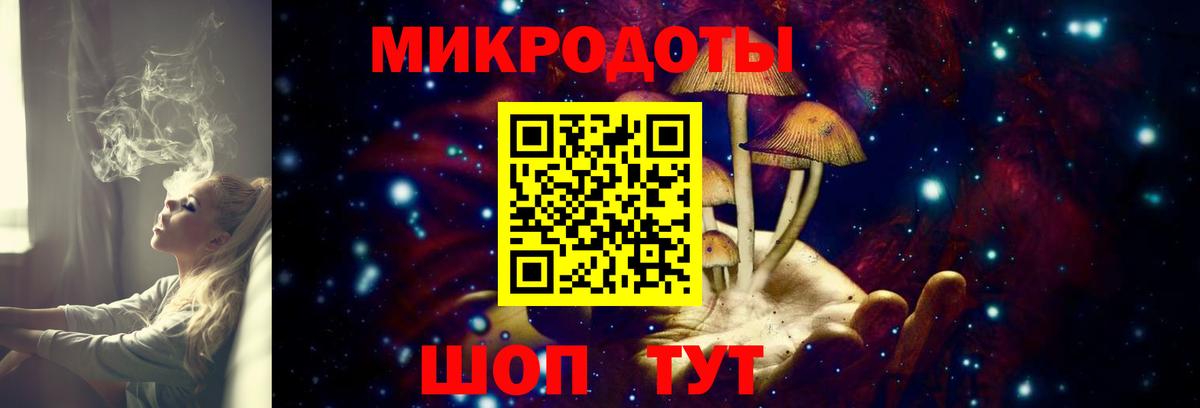 Галлюциногенные грибы Psilocybine cubensis  Псилоцибиновые грибы мицелий  Морозовск  Вход с VPN 
